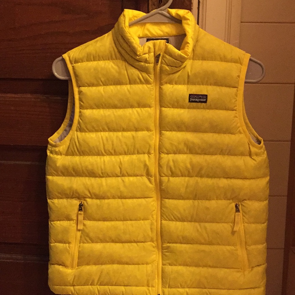 Patagonia Vest (down)